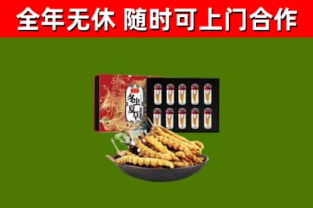 福田区烟酒回收冬虫夏草礼盒.jpg
